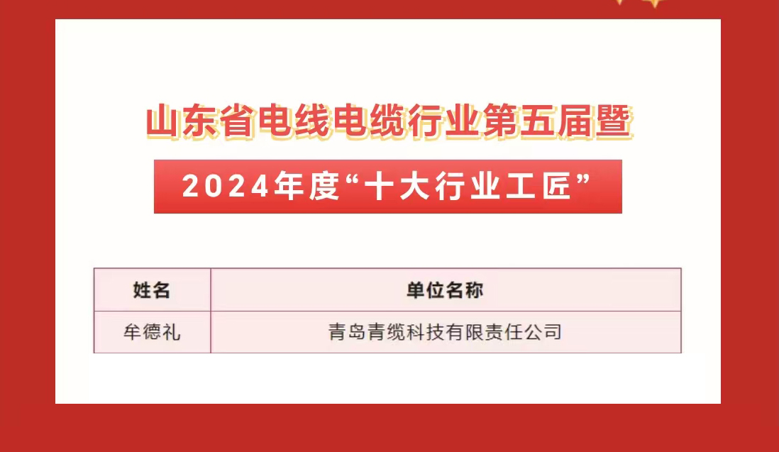 青纜職工獲評2024年度“十大杰出青年”及“十大行業(yè)工匠”