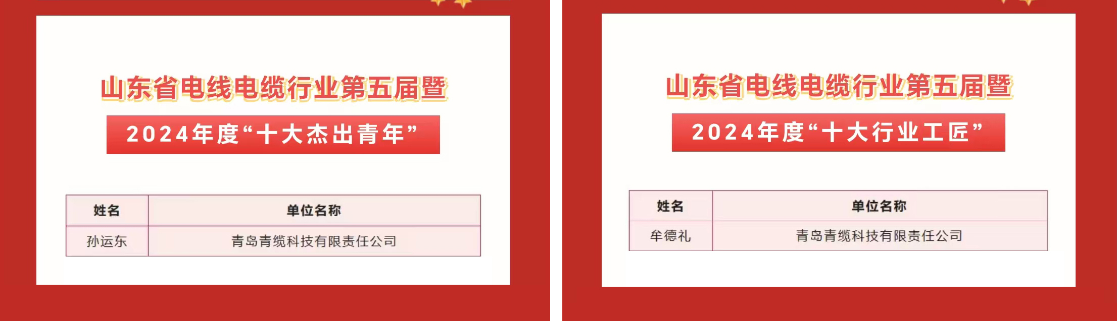 青纜職工獲評(píng)2024年度“十大杰出青年”及“十大行業(yè)工匠”(圖1)